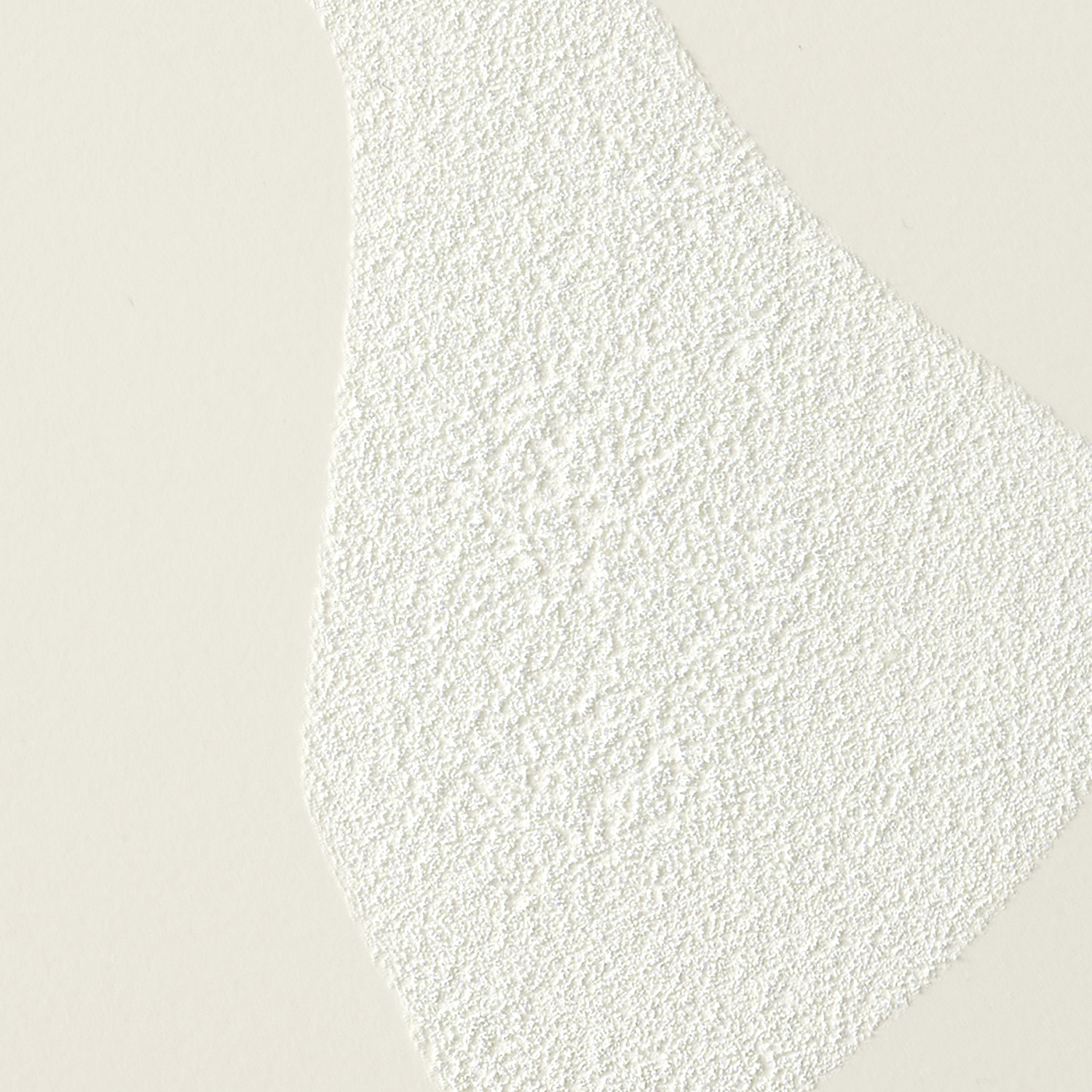 ACCinPigment_#1_Detail_