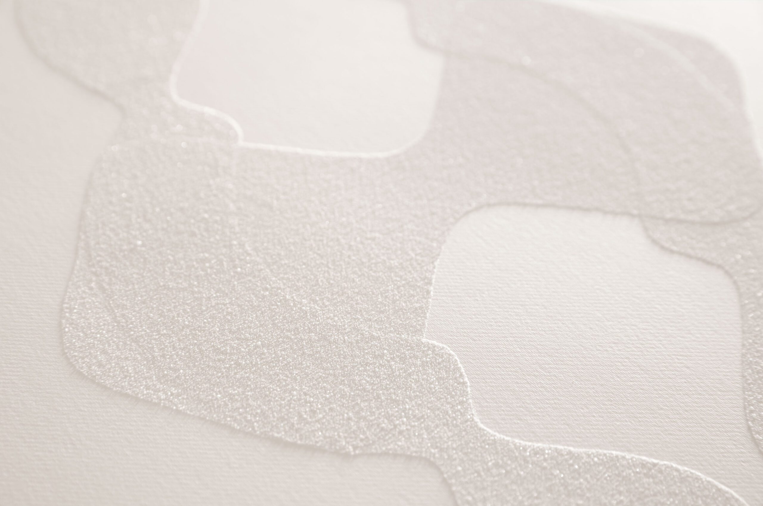 Chadni_Detail1